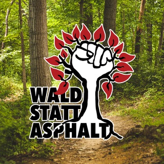 Wald statt Asphalt - Info-Channel 🌳✊