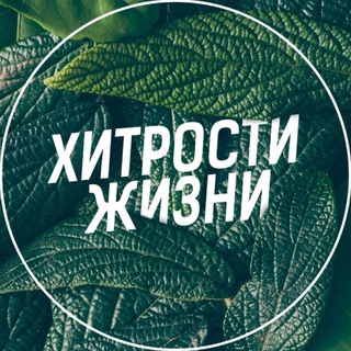 Хитрости жизни
