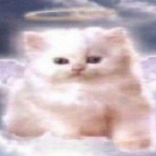 Шприцовка адопты не личный