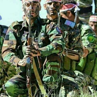 البرع اليماني والحالات الجهادية