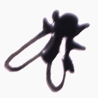 YAPREDALXRISTA