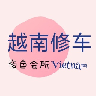 胡志明 河内 高端 品茶修车