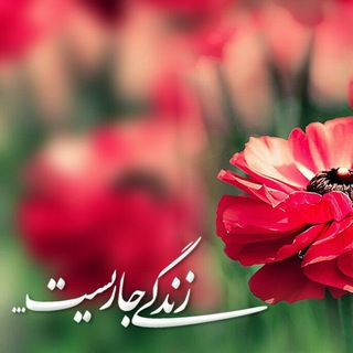 🌸 زندگے جاریست 🌸