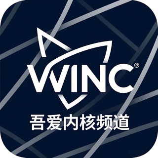 吾爱内核破解频道（三角洲/无畏契约/和平精英/PUBG王者CFM使命失控进化）